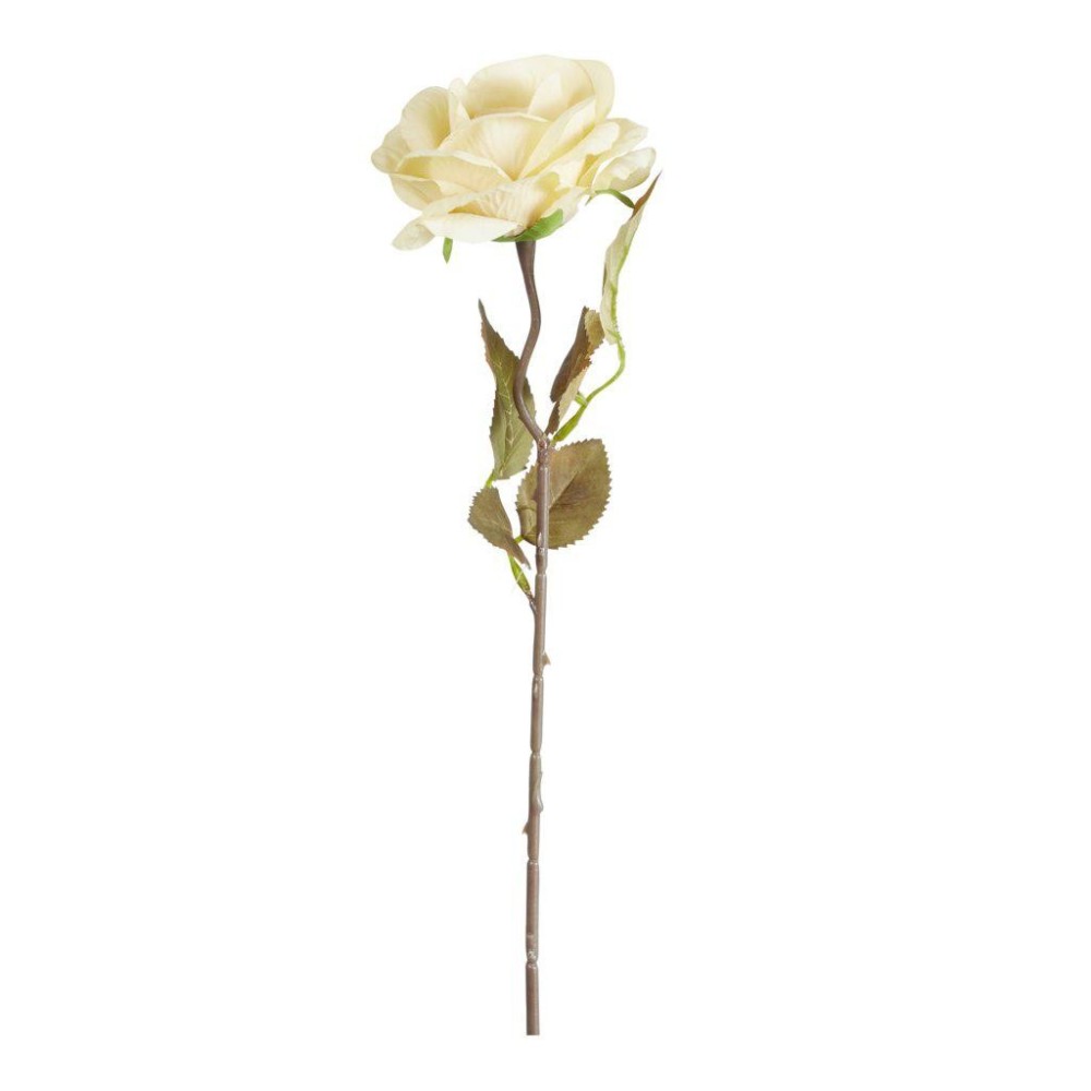 ROSA CORVETTE BUTTER CM.50